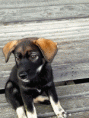 /album/kuvagalleria/a20131025-130028-motion-2-gif/